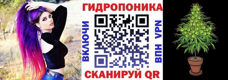 Хочу наркоту Реутов Канабис Галлюциногенные грибы Гашиш