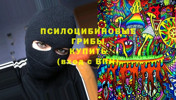 марки nbome Богородицк