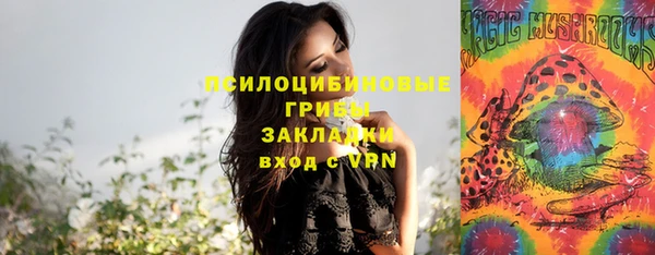 СК Беломорск